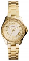 Женские часы Fossil AM4577