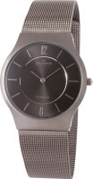 Мужские часы Skagen 233LTTM