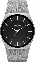 Мужские часы Skagen SKW6019