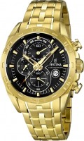 Мужские часы Festina F16656/5