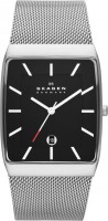 Мужские часы Skagen SKW6027