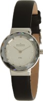 Женские часы Skagen SKW2005