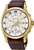 Мужские часы SEIKO SNAF22J1 Premier