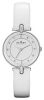 Женские часы Skagen SKW2012