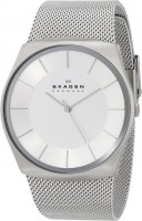 Мужские часы Skagen SKW6067