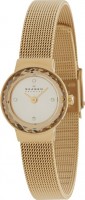 Женские часы Skagen SKW2186