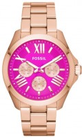 Женские часы Fossil AM4549