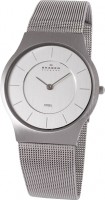 Мужские часы Skagen 233LSS