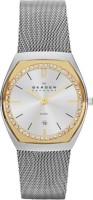 Женские часы Skagen SKW2050