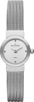 Женские часы Skagen SKW2010