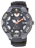 Мужские часы Citizen BN0015-07E