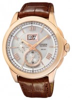 Мужские часы Citizen BT0008-05A