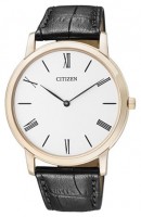 Мужские часы Citizen AR1113-04B