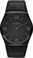 Мужские часы Skagen SKW6043