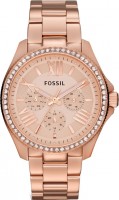 Мужские часы Fossil AM4483
