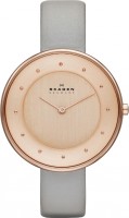 Женские часы Skagen SKW2139