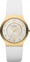 Женские часы Skagen SKW2027