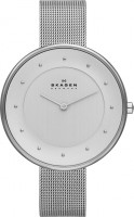 Женские часы Skagen SKW2140
