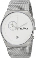 Мужские часы Skagen SKW6071