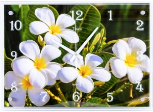 Настенные часы 21 Век 4056-896
