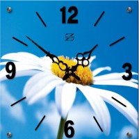 Настенные часы Zero Branko ZB-0384