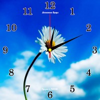 Настенные часы Московское время 2828-46