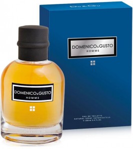 Туалетная вода для мужчин Christine Lavoisier Domenico and Gusto Homme 100 мл
