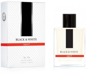 Туалетная вода для мужчин Dilis La Vie Black & White 100 мл