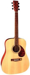 Акустическая гитара Tenson D10 Dreadnought F501310