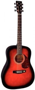 Акустическая гитара Tenson D1 Dreadnought F501302