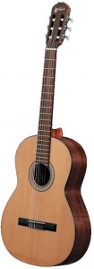 Акустическая гитара Prudencio Saez Classical Initiation Model 8