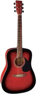 Акустическая гитара VGS D10 Dreadnought PS501314