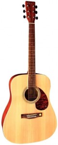 Акустическая гитара Tenson D1 Dreadnought F501300