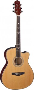 Акустическая гитара Naranda TG220CNA