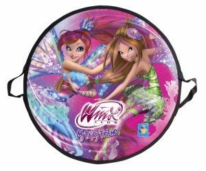 Ледянка 1TOY WinX Т58471