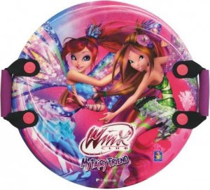 Ледянка 1TOY Т57210 Winx