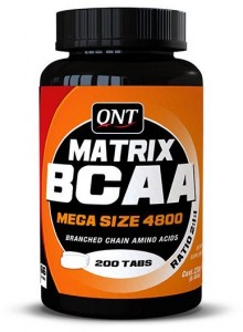 BCAA QNT 1155 Matrix 4800